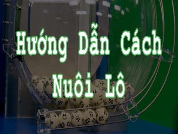 nu&ocirc;i l&ocirc; bạch thủ khung 2 ng&agrave;y