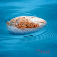 Giải mã bí ẩn loại đá có khả năng nổi trên mặt nước